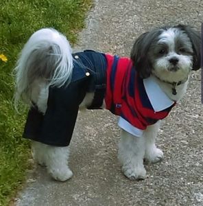 Meet your Posher, Tanja